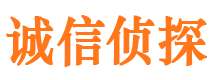 六合市侦探调查公司